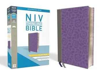 NIV, Thinline Bible, Giant Print, Imitation Leather, Gray/Purple, Red Letter Edition, Hardcover/Zondervan