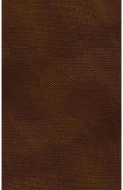 Niv, Thinline Bible, Passaggio Setting, Leathersoft, Brown, Red Letter, Comfort Print: Elegantly Uniting Single and Double Columns Into One Passaggio - Zondervan