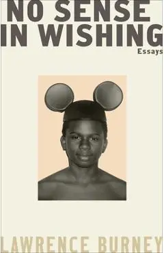 No Sense in Wishing: Essays - Lawrence Burney