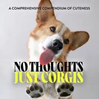 No Thoughts Just Corgis. A Comprehensive Compendium of Cuteness, Hardback/Union Square & Co.