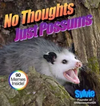 No Thoughts Just Possums, Hardback/Sylvie