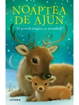 Noaptea de Ajun. 10 povesti magice cu animalute/Rachel Delahaye