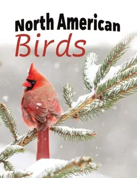 North American Birds, Paperback/Lasting Happiness