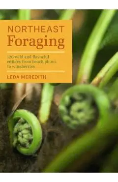 Northeast Foraging: 120 Wild and Flavorful Edibles from Beach Plums to Wineberries - Leda Meredith