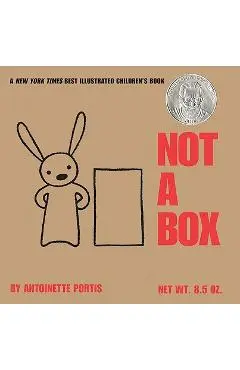 Not a Box Board Book - Antoinette Portis