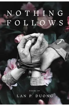 Nothing Follows - Lan P. Duong