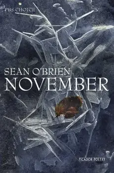 November, Paperback/Sean O'Brien