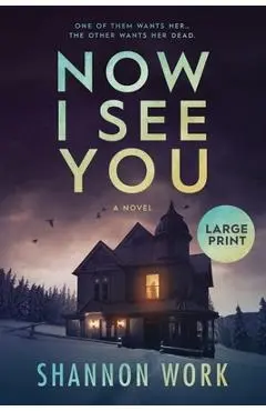 Now I See You - Shannon Work