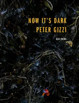 Now It's Dark, Paperback/Peter Gizzi