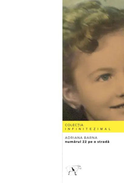 Numarul 22 pe o strada | Adriana Barna