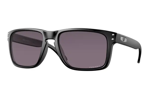 Oakley Holbrook XL OO9417 941722 PRIZM Grey