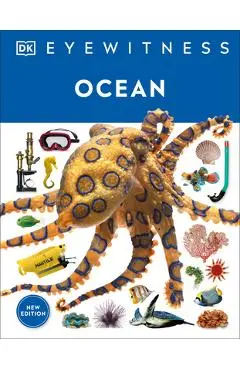 Ocean - Dk