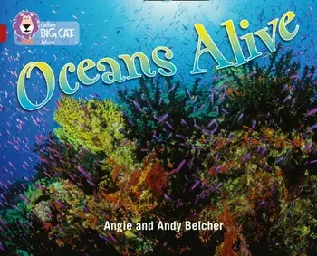 Oceans Alive. Band 14/Ruby, Paperback/Angie Belcher
