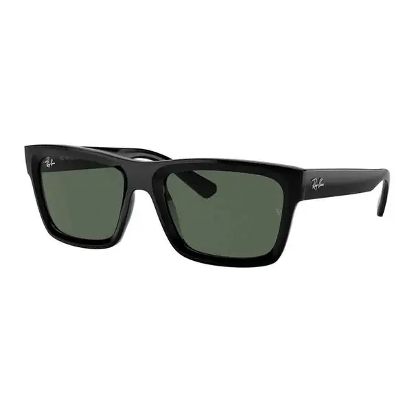 Ochelari de soare barbati Ray-Ban RB4396 667771
