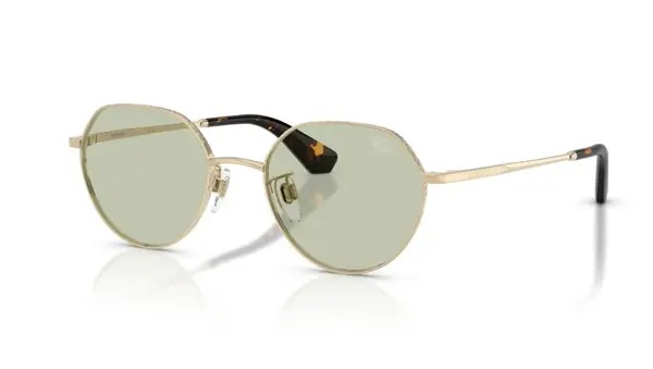 Ochelari de soare Burberry BE3173D 1109/2 - Default Title