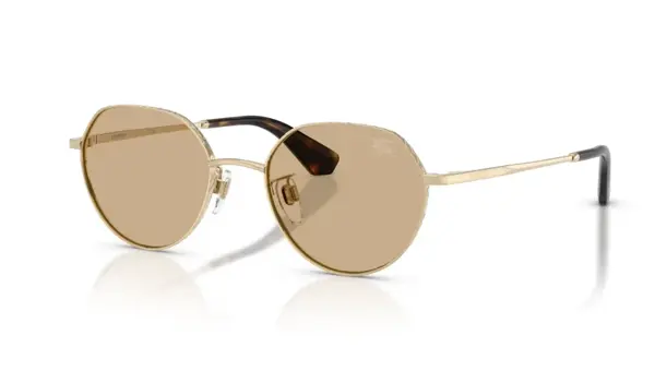 Ochelari de soare Burberry BE3173D 110973 - Default Title