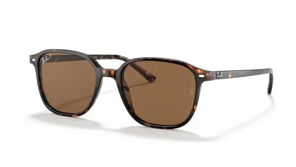 Ochelari de soare Ray-Ban Leonard RB2193 902/57 Polarizați - Default Title