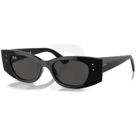 Ochelari de soare Ray-Ban Ray-Ban RB4427 667787 49