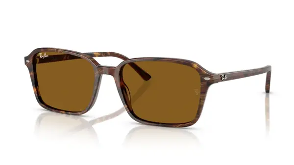 Ochelari de soare Ray-Ban RB2231 141833 - 56