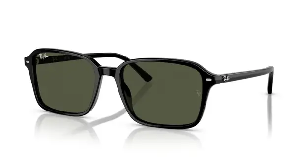 Ochelari de soare Ray-Ban RB2231 901/31 - Default Title