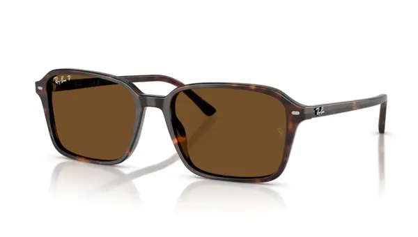 Ochelari de soare Ray-Ban RB2231 902/57 Polarizați - 58
