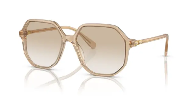 Ochelari de soare Swarovski SK6003 103411 - Default Title