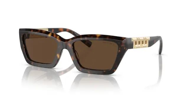 Ochelari de soare Tiffany&Co TF4213 80153G - Default Title