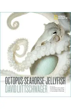 Octopus, Seahorse, Jellyfish - David Liittschwager