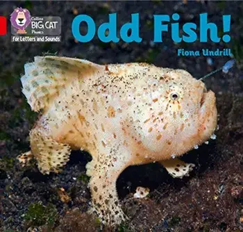 Odd Fish!. Band 02b/Red B, Paperback/Fiona Undrill