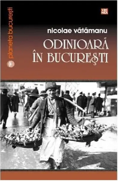 Odinioara in Bucuresti | Nicolae Vatamanu