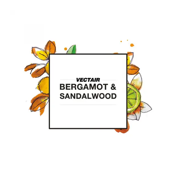 Odorizant V-AIR SOLID - BERGAMOT SANDALWOOD