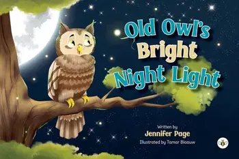 Old Owl's Bright Night Light, Paperback/Jennifer Page