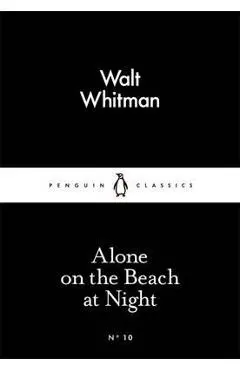 On the Beach at Night Alone