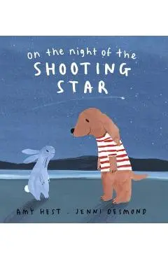 On the Night of the Shooting Star - Amy Hest