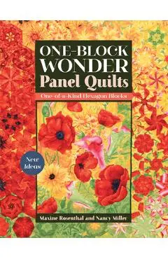 One-Block Wonder Panel Quilts: New Ideas; One-Of-A-Kind Hexagon Blocks - Maxine Rosenthal