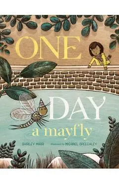 One Day a Mayfly - Shirley Marr