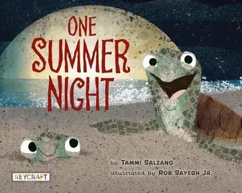 One Summer Night, Hardcover/Tammi Salzano