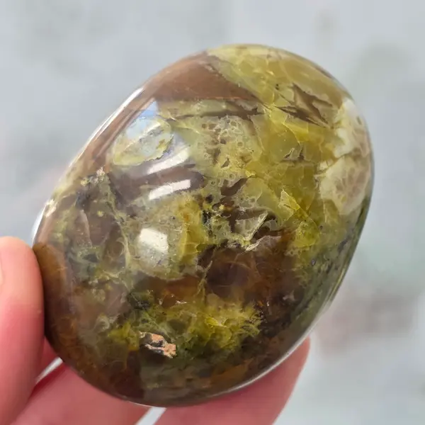 Opal verde palmstone m10