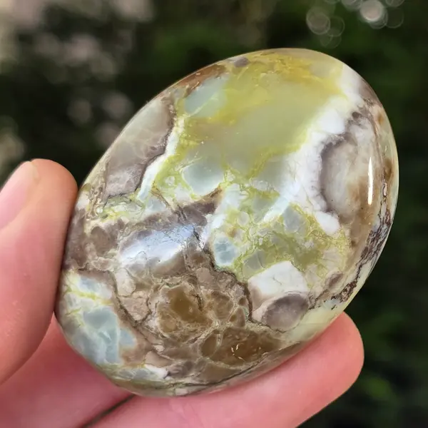 Opal verde palmstone | m20