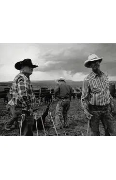 Open Range: America's Big-Outfit Cowboy - Langmore John