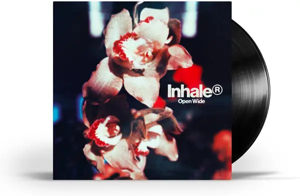 Open Wide - Vinyl | Inhaler