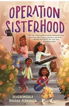 Operation Sisterhood - Olugbemisola Rhuday-perkovich