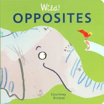 Opposites, Hardcover/Courtney Dicmas