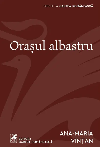Orașul albastru - Ana-Maria Vințan