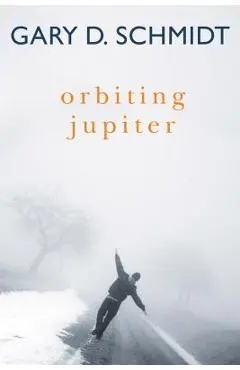 Orbiting Jupiter - Gary D. Schmidt