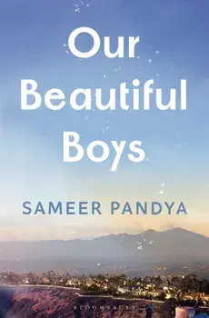 Our Beautiful Boys, Hardback/Sameer Pandya
