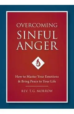 Overcoming Sinful Anger - Fr T. Morrow