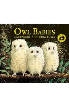 Owl Babies - Martin Waddell