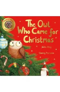 Owl Who Came for Christmas - John Hay