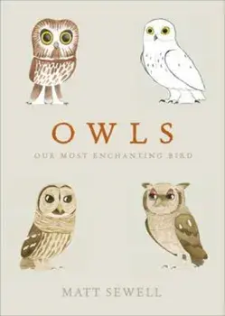 Owls, Hardcover/Matt Sewell